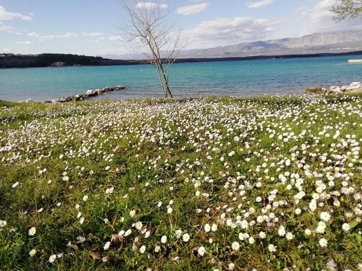 Apartment Sun & Sea Krk Town 0*,  Croatia